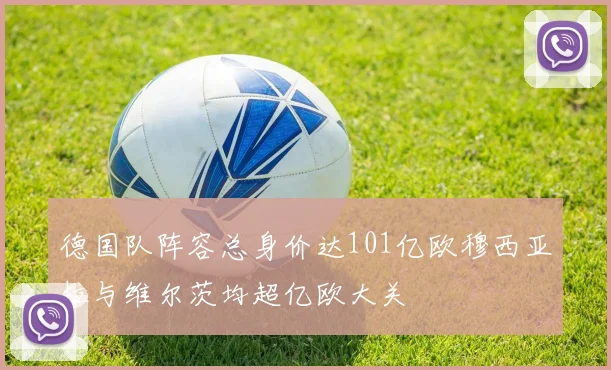 德国队阵容总身价达101亿欧穆西亚拉与维尔茨均超亿欧大关